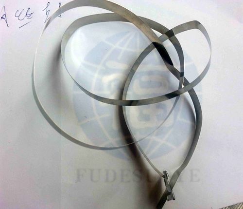 塑料(liào)封條鎖